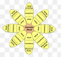 Wingmakersblogeng The Individuated Consciousness Emoji,Soul Mind Will Emotions Conscience