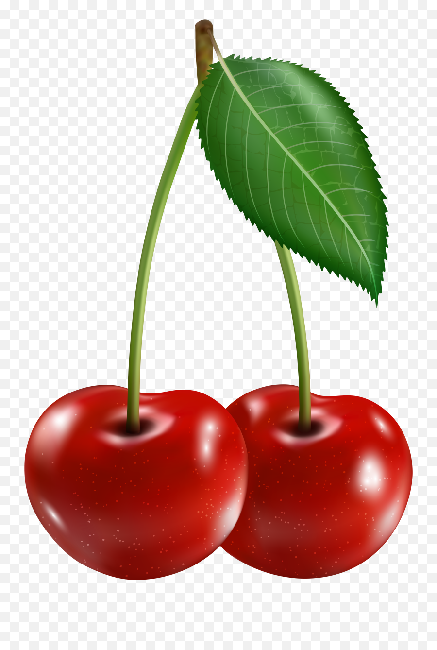 Cherry Clipart Cherry Transparent Free For Download On - Transparent Background Cherry Clipart Png Emoji,Cherry Cherry Cherry Emoji