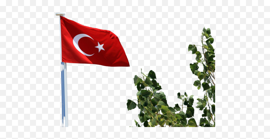 Flag Of Turkey Png Images Download Flag Of Turkey Png Emoji,Turkey Flag Emoji
