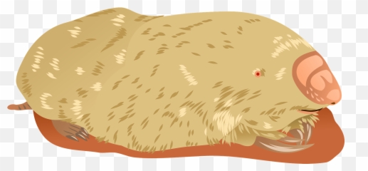Marsupial Mole Clipart Free Download Transparent Png - Soft Emoji,Mole Emoji