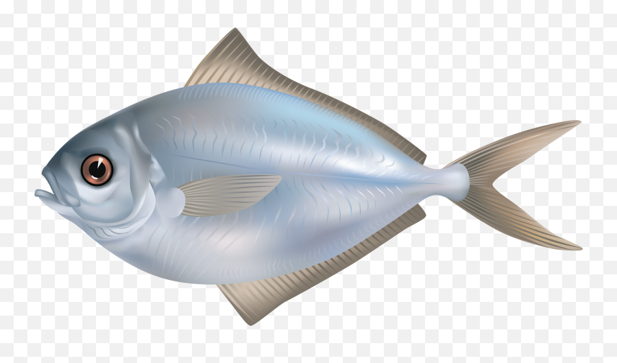 Download Grey Butter Fish Png Clipart Image - Fish Full Fish Png Emoji,Fish Emoji