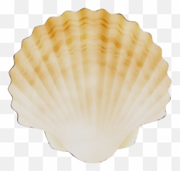 Free Transparent Cockle Png Download - Scallop Shell Transparent Emoji,Scallop Emoji