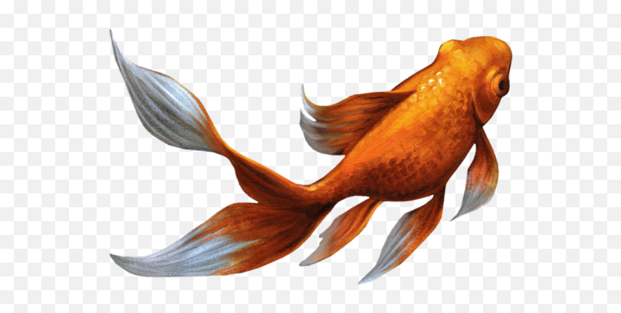 Fish Fishes Goldfish Sticker By - Wlkanja Fish Emoji,Gold Fish Emoji