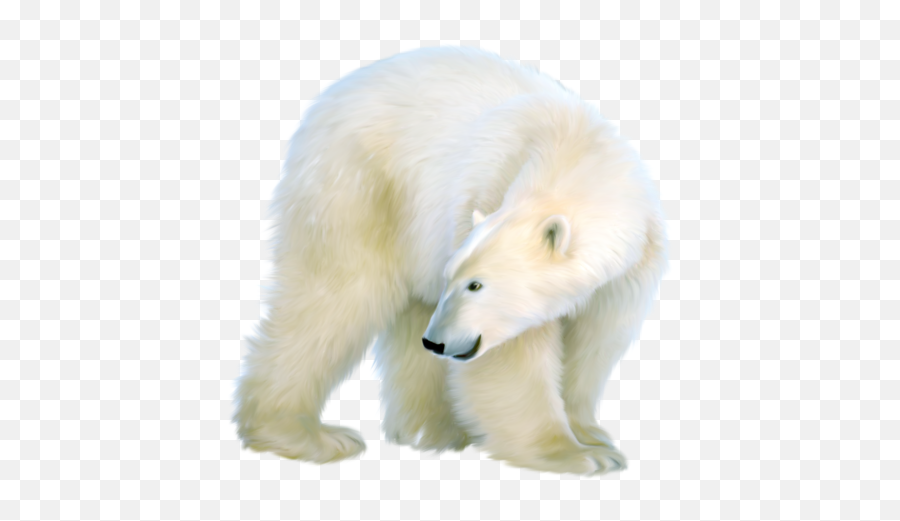 Polar Bear Png Official Psds - Polar Bear Emoji,Polar Bear Emojis