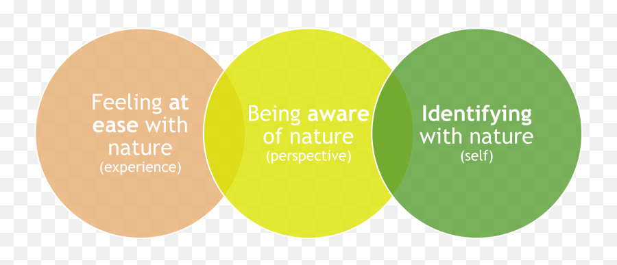 7 Connection Gateways Pedagogy C Naya Nature Foundation - Dot Emoji,Diy Emotion Scale