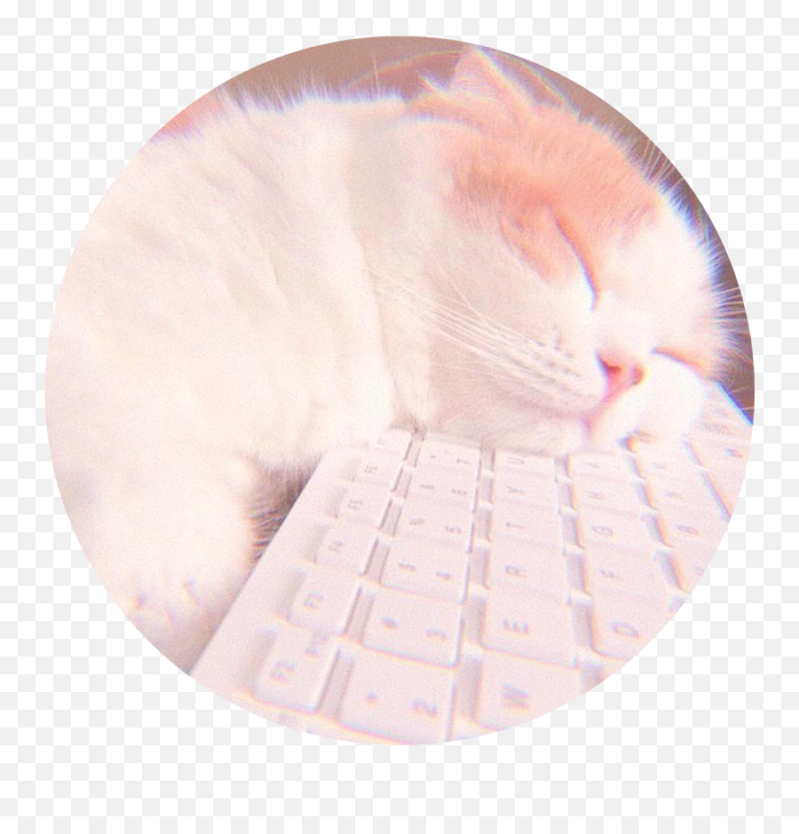 The Most Edited - Computer Hardware Emoji,Sleepy Cat On Computer Emoticon