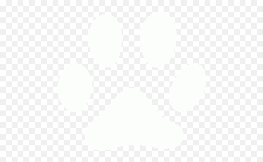 White Footprints Cat Icon - Free White Footprint Icons Cat Icon White Png Emoji,Cat Human Emoticon Gif