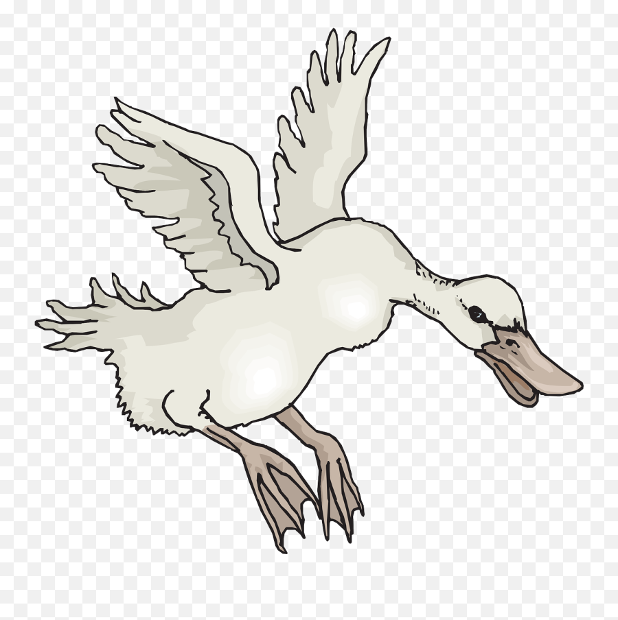 Httpswwwpicpngcomwhite - Birdduckwingslandingpng Emoji,Goose Geese Emoticons