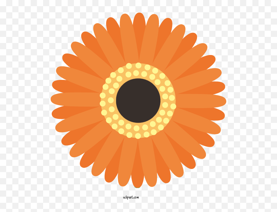 Flowers Bond Bank Finance For Gerbera - Gerbera Clipart Emoji,Emoticon Daffodif