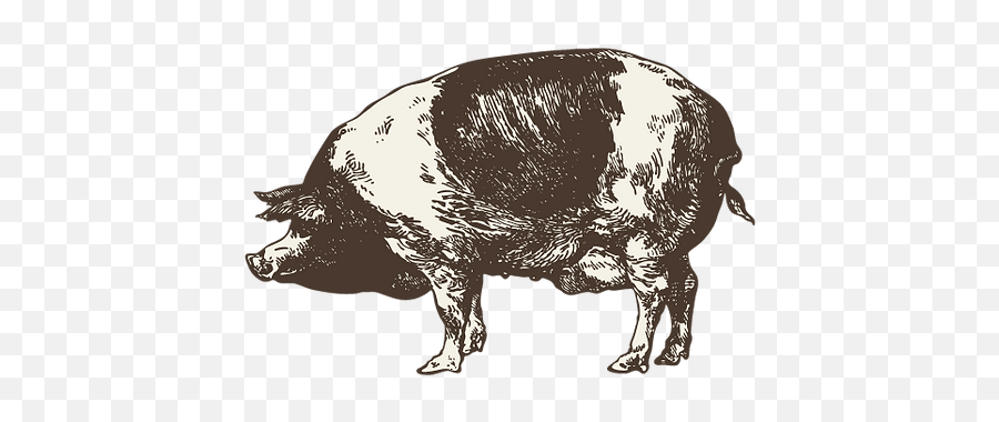 Party Time The - Pungoprairie Emoji,Boar Emoji