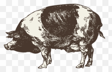 Party Time The - Pungoprairie Emoji,Boar Emoji