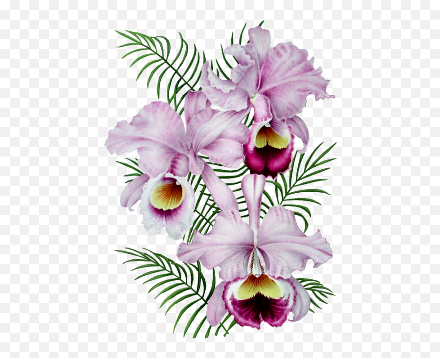 The Most Edited Petal Picsart Emoji,Pinkfloweremoji Insta The Most Edited Petal Picsart Emoji,Pinkfloweremoji Insta