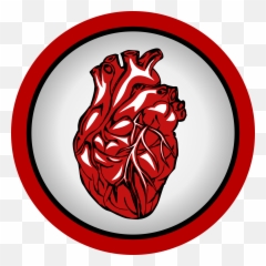 Normal Bpnormal Blood Pressurewhat Is High Bp And High Bp - Gambar Jantung Animasi Png Emoji,Emoticon Musculo