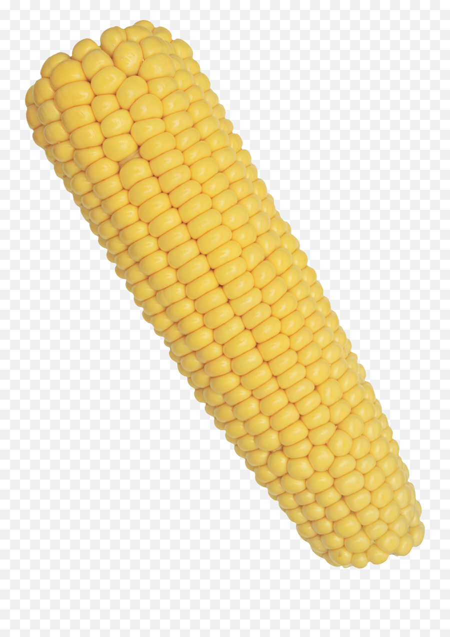 Corn Clipart Corncob Corn Corncob - Corn On The Cob Png Emoji,Corncob Emojis