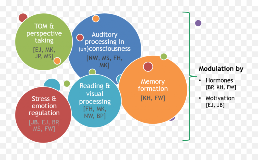 Phd Programme Imaging The Mind - Dot Emoji,Process Model Of Emotion Regulation