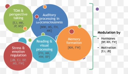 Phd Programme Imaging The Mind - Dot Emoji,Process Model Of Emotion Regulation