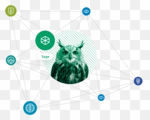 Aidentity - Dot Emoji,Owl Emotion Vectors