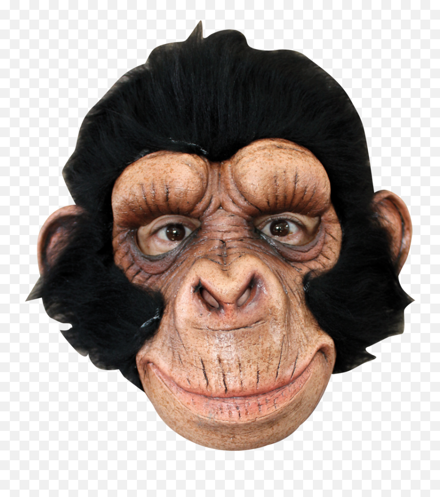 Chimp George Emoji,Emojis Monkey With Wig