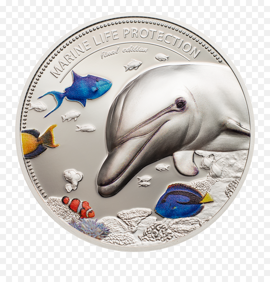 Marine Life Seahorse Dolphin Set - Common Bottlenose Dolphin Emoji,Dolphin Emotions