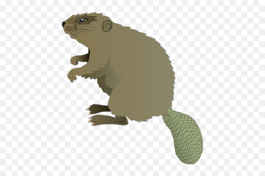 Beaver Clipart Hd Png Transparent Images Download Emoji,Is There A Groudhog Emoji