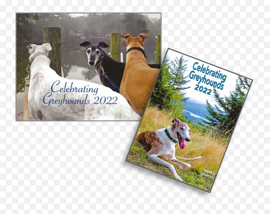 Northern Lights Greyhound Adoption Minnesota Dog Adoption Emoji,Flying Emotion Greyhound