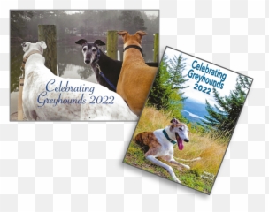 Northern Lights Greyhound Adoption Minnesota Dog Adoption Emoji,Flying Emotion Greyhound