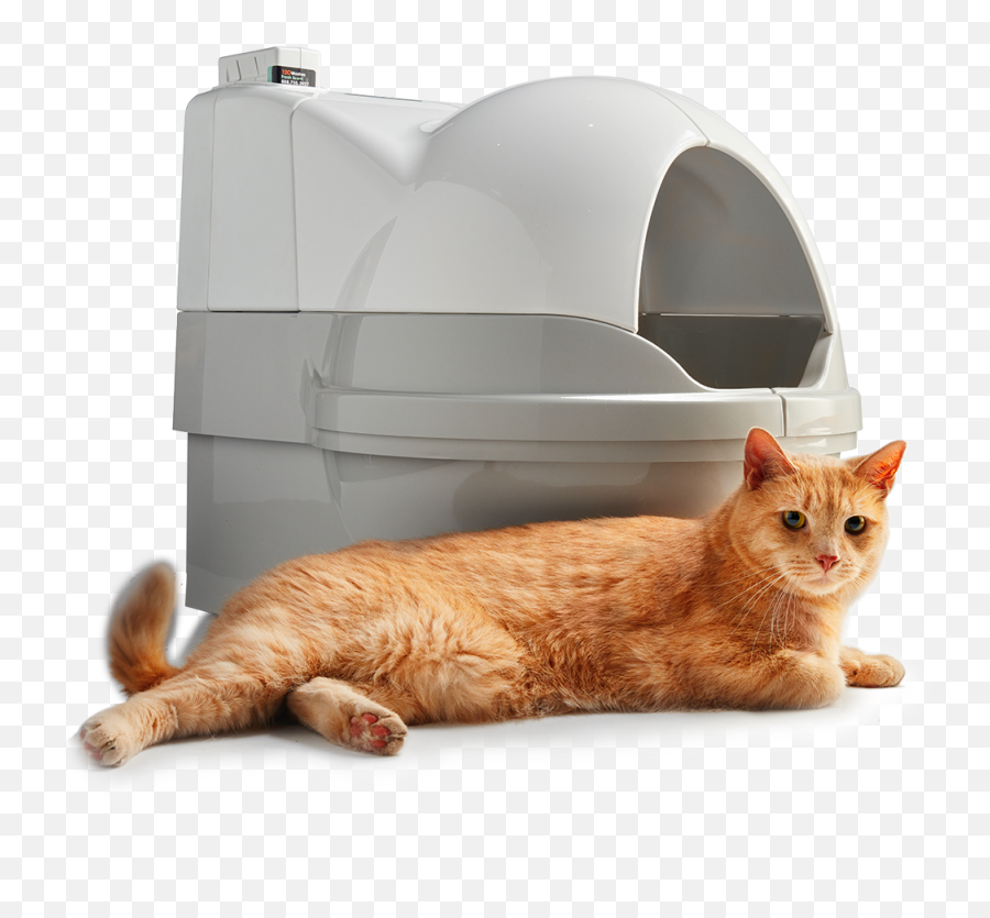 Catgenie Self - Washing Selfflushing Cat Box Best Automatic Cat Litter Box Emoji,Cats Dont Express Their Emotions