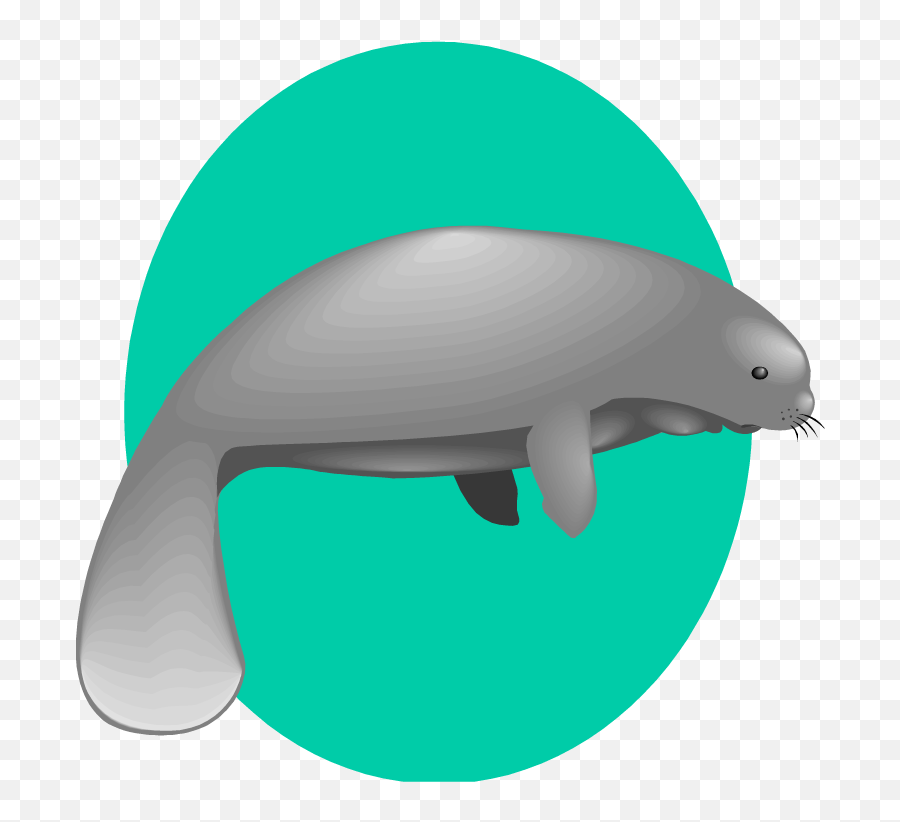 Manatees Clip Art - Clip Art Library Clip Art Emoji,Do Manatees Have Emotions