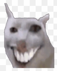 Scared Emojis For Discord U0026 Slack - Discord Emoji Discord Emoji Cat,Freaked Out Anime Emoji