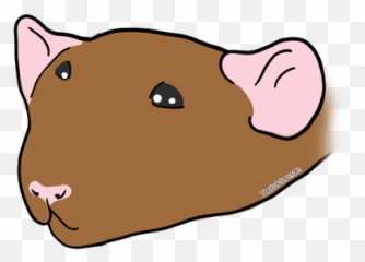 Body Language - The Rat Guru Animal Figure Emoji,Emotion Pets Playful Monkeys