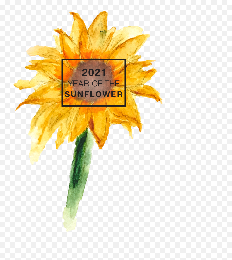 The Sunflower - 2021 Year Of The Sunflower Emoji,Facebook Sunflower Emoticons