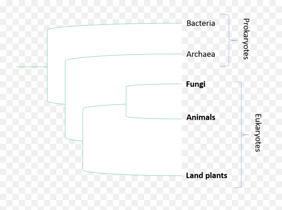 Land Plants Organismal Biology - Vertical Emoji,Plant Emotions Mythbusters