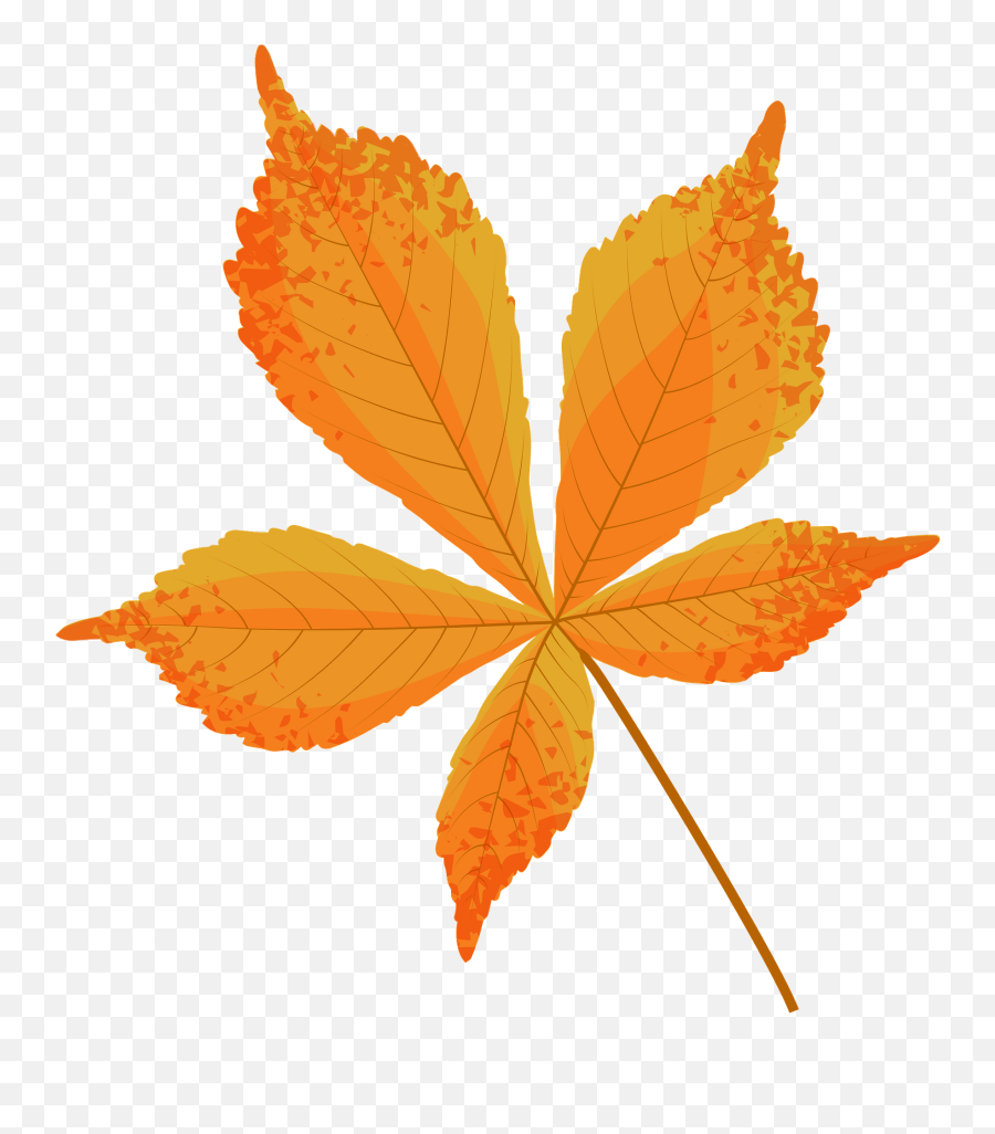 Horse Chestnut Late Autumn Leaf Clipart Free Download - Horse Chestnut Leaf Clipart Emoji,Horse And Plane Emoji Roblox