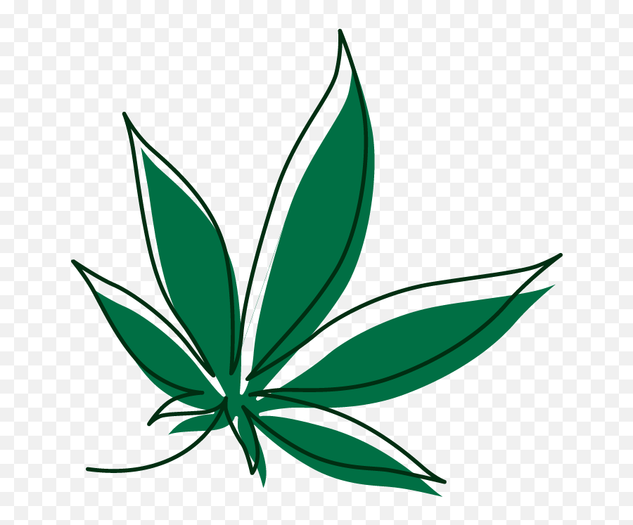 Due North Cannabis Co Sault Ste Marieu0027s Largest Cannabis - Language Emoji,Marawana Leaf Emoji