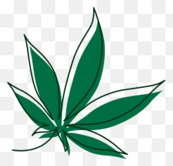 Due North Cannabis Co Sault Ste Marieu0027s Largest Cannabis - Language Emoji,Marawana Leaf Emoji