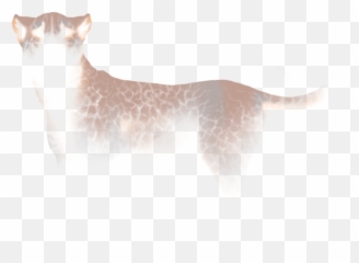 Lioden - Wildlife Emoji,Panther Animal Emotion