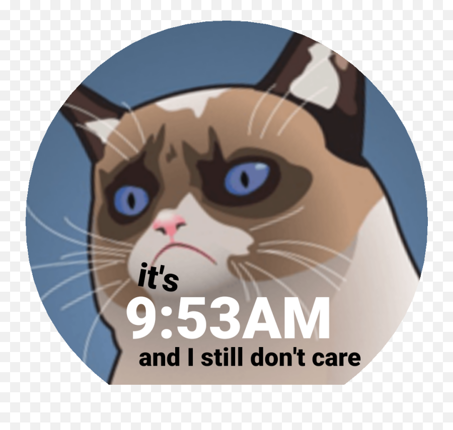 Grumpy Cat Face Png - And I Still Donu0027t Care Watch Face Photo Caption Emoji,I M Watching You Emoticon