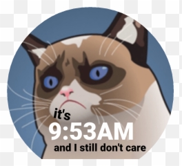 Grumpy Cat Face Png - And I Still Donu0027t Care Watch Face Photo Caption Emoji,I M Watching You Emoticon