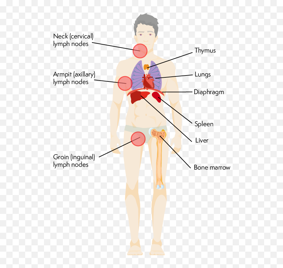 Lymphoma Action Staging Of Lymphoma Emoji,Armpit Emoji