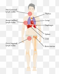 Lymphoma Action Staging Of Lymphoma Emoji,Armpit Emoji