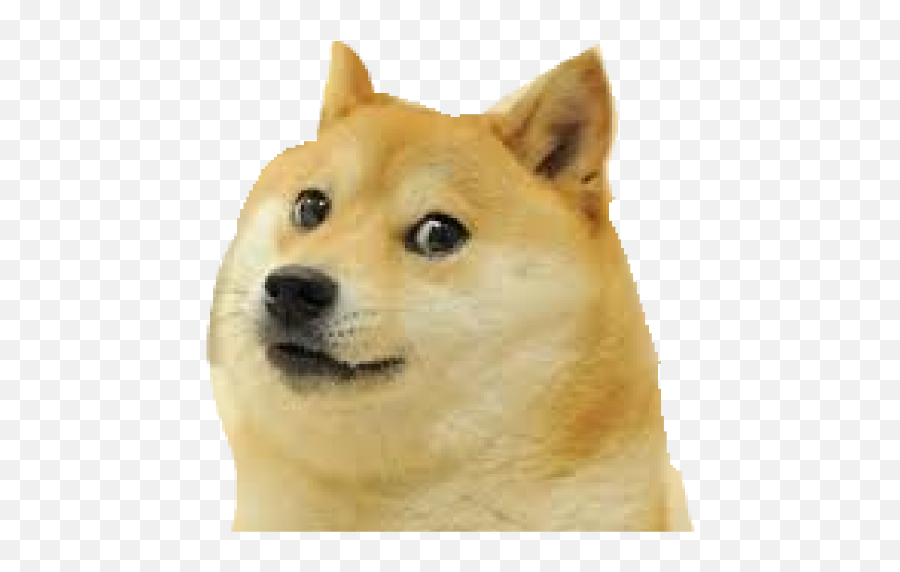 Doge Png Template Meme Generator Template - Soupmemes Emoji,Clap Emoji Discord