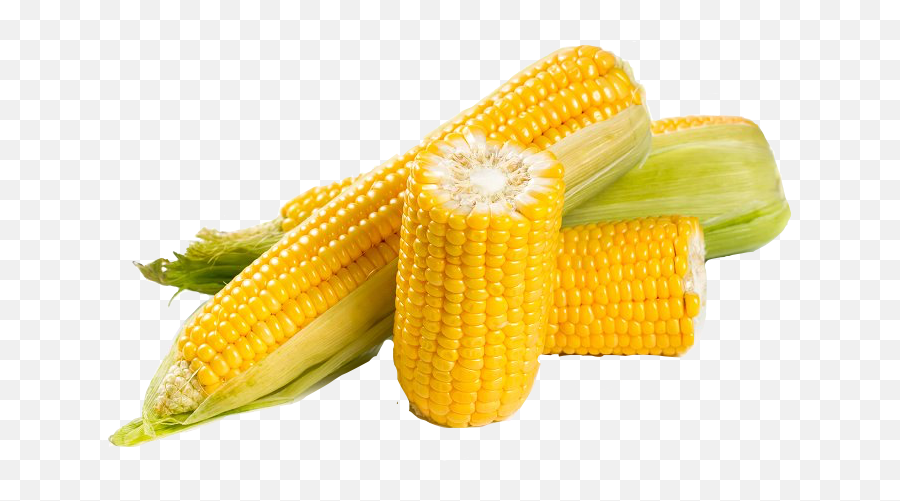 Corn Maize Maïs Mais Sticker - Corn On The Cob Emoji,Corn Cob Emoji