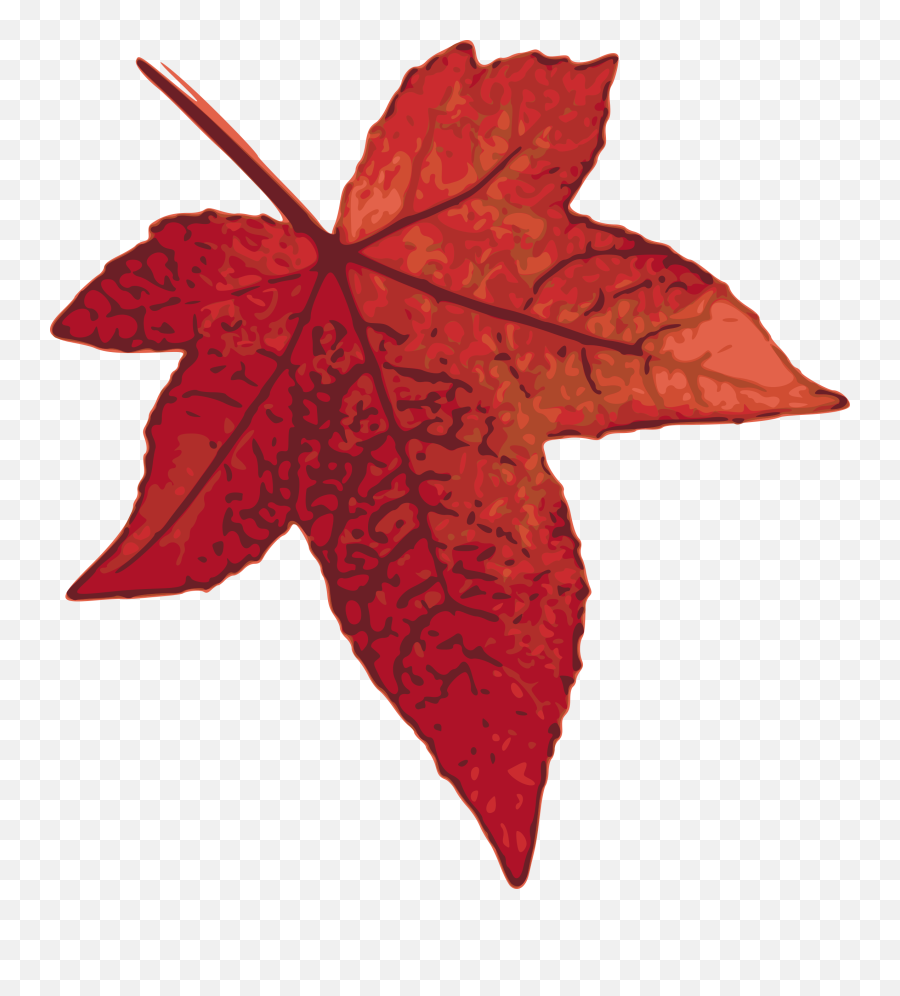 Clipart Leaves Red Fall Leaf Clipart Leaves Red Fall Leaf - Red Oak Leaf Clipart Emoji,Fall Leave Emoji