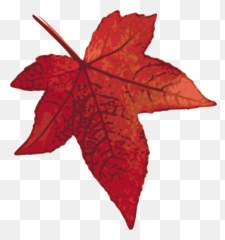 Clipart Leaves Red Fall Leaf Clipart Leaves Red Fall Leaf - Red Oak Leaf Clipart Emoji,Fall Leave Emoji