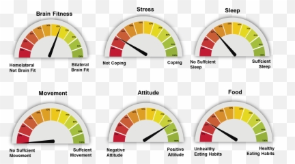 Drivers That Optimize Your Brain - Indicator Emoji,Brain Chemicals And Emotions