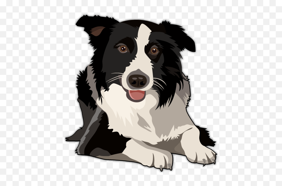 Border Collie Png Clipart - Transparent Border Collie Clipart Emoji,Husky/border Collie Emoji