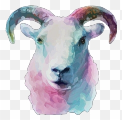 Goats Sticker Challenge On Picsart - Goat Water Color Png Emoji,Snapchat Sheep Animal Emojis