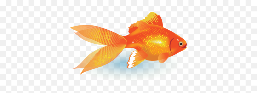 Esl Lesson - Goldfish Vector Emoji,Emotions Animals Communicate