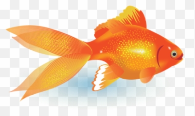 Esl Lesson - Goldfish Vector Emoji,Emotions Animals Communicate