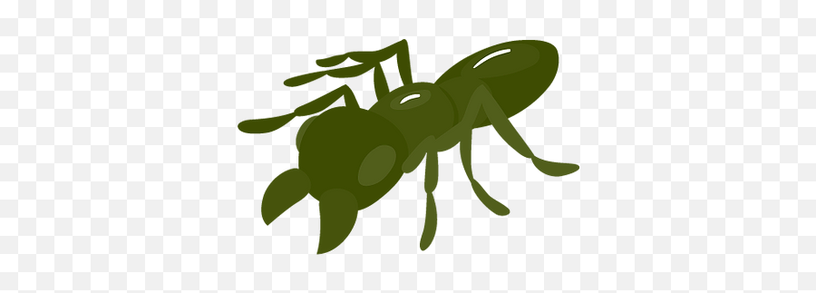 Sydney Pest Control Experts - Parasitism Emoji,Images Of Emojis Iritated